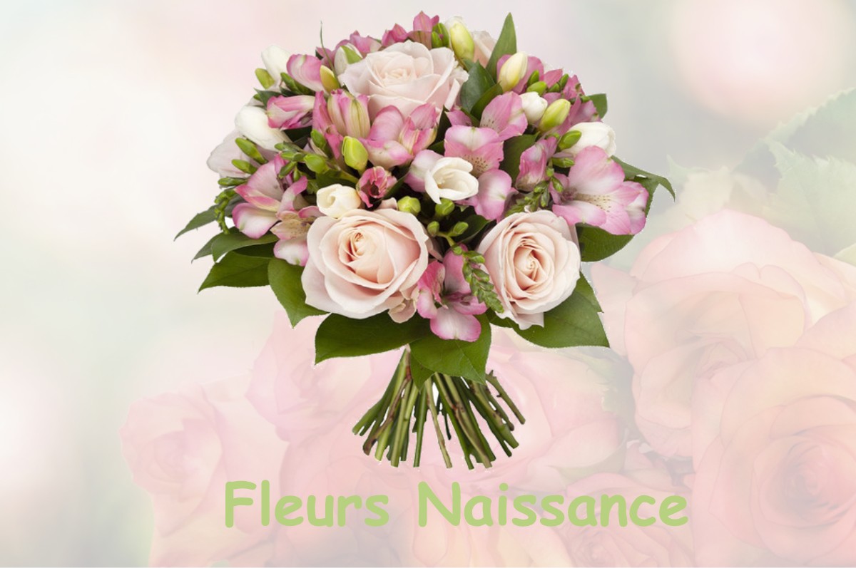 fleurs naissance CHEZENEUVE