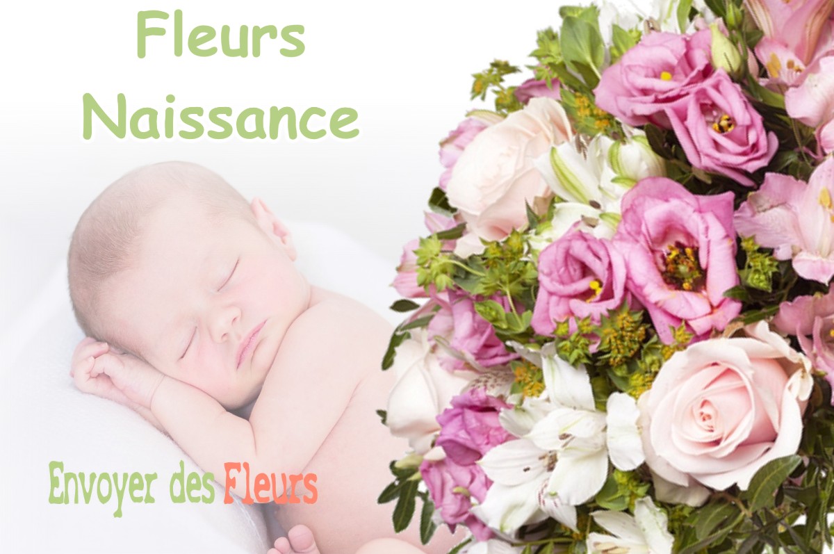 lIVRAISON FLEURS NAISSANCE à CHEZENEUVE